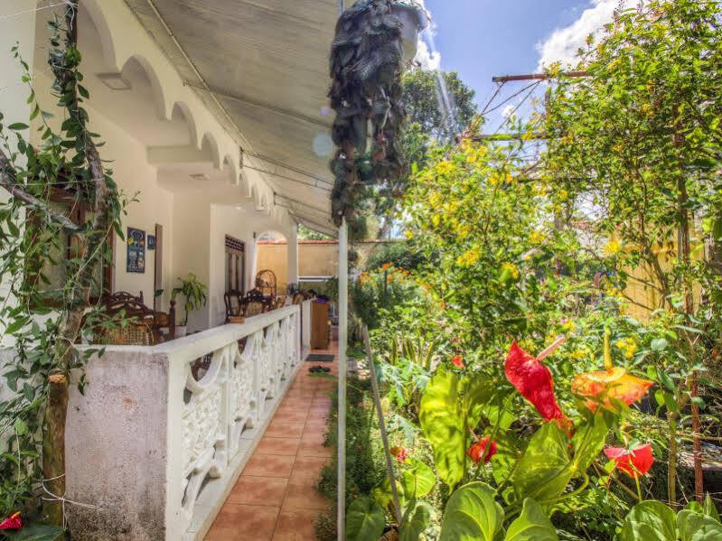 Guesthouse Kind And Love Hikkaduwa Esterno foto